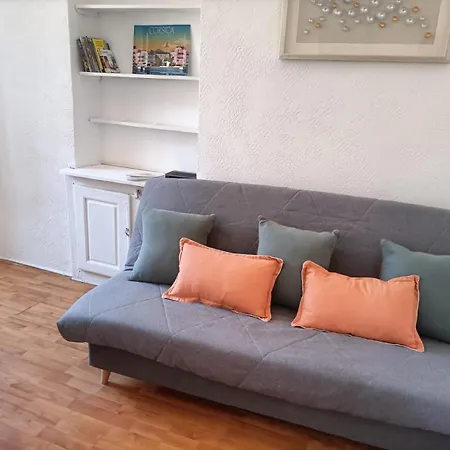 公寓 **** Very 36 Rue Fesch, Cosy Flat In Center Pedestrian Street, Up To 4 People ****