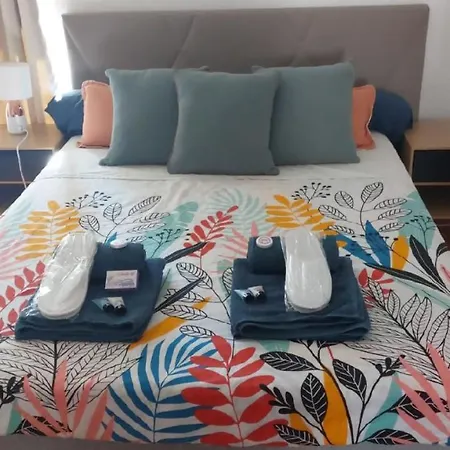 **** Very 36 Rue Fesch, Cosy Flat In Center Pedestrian Street, Up To 4 People **** 公寓