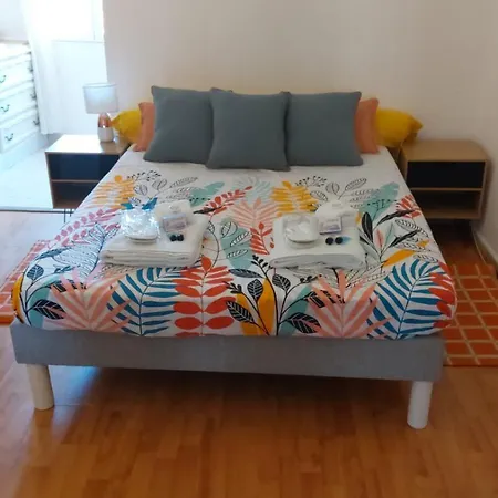 **** Very 36 Rue Fesch, Cosy Flat In Center Pedestrian Street, Up To 4 People **** Apartamento *