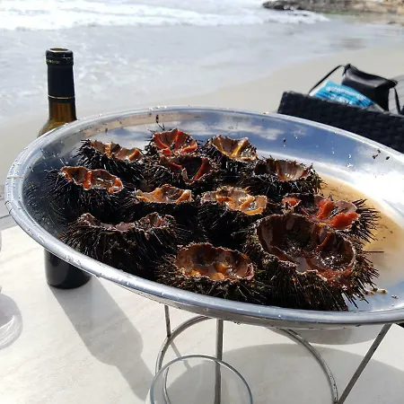 **** Very 36 Rue Fesch, Cosy Flat In Center Pedestrian Street, Up To 4 People **** * Ajaccio (Corsica)