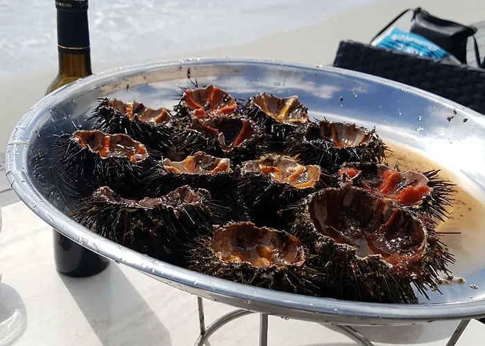 **** Very 36 Rue Fesch, Cosy Flat In Center Pedestrian Street, Up To 4 People **** * Ajaccio (Corsica)